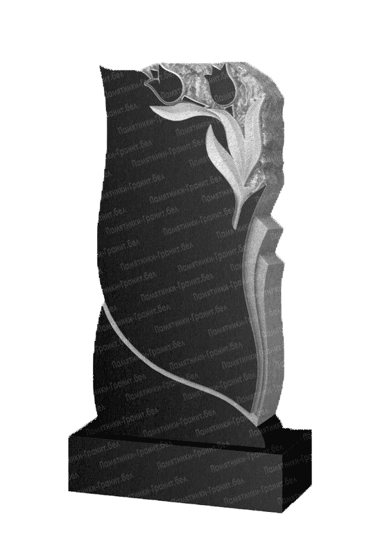 Памятник Новогрудок фото