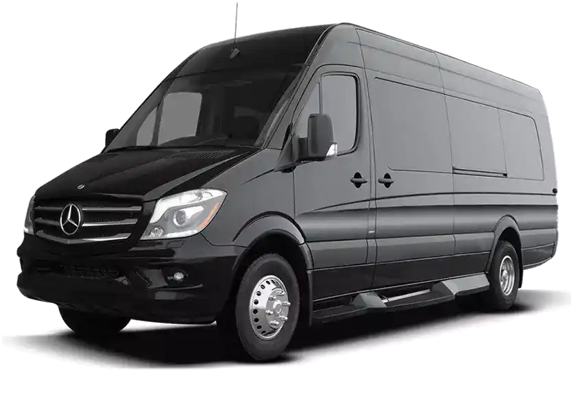 Памятник Новогрудок изображение